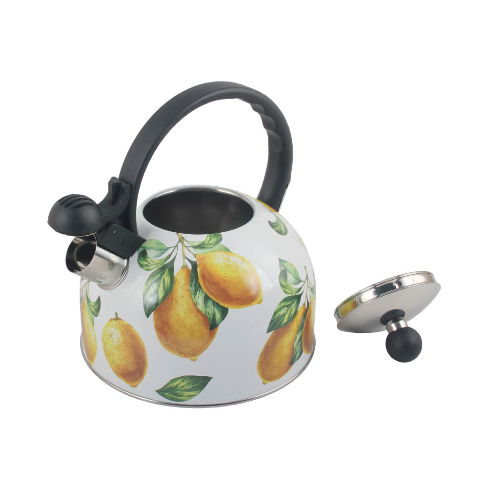 Stainless Steel whistling Kettle — product information